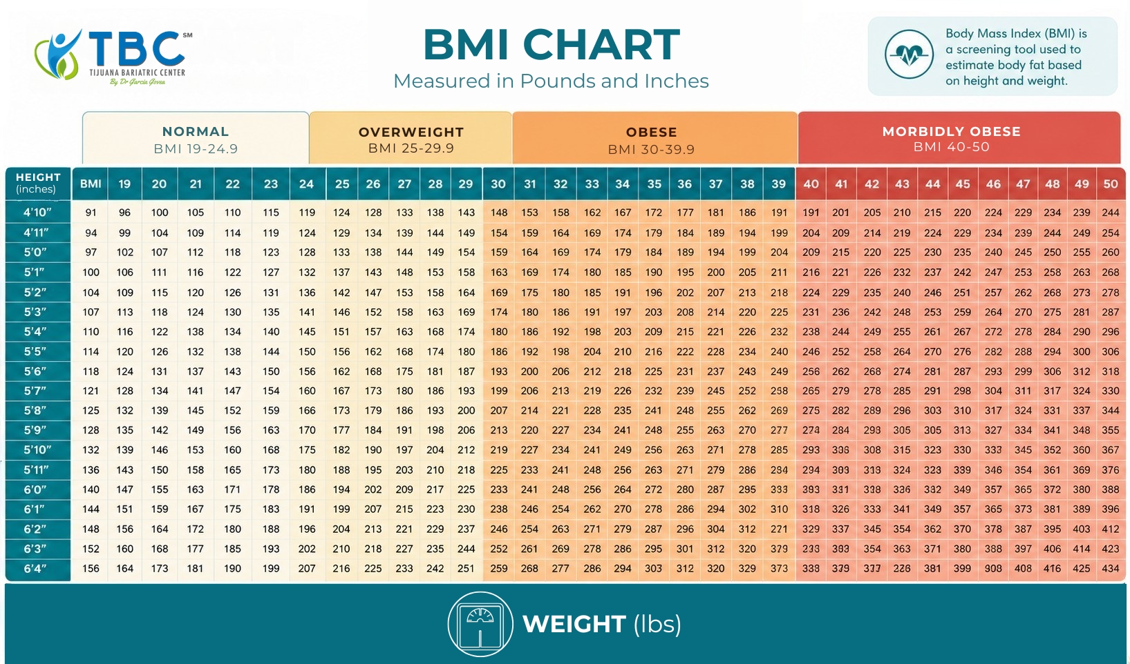 Morbid obesity BMI chart by height and weight in pounds and inches